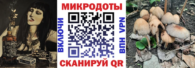 купить наркотики цена hydra онион Галлюциногенные грибы MAGIC MUSHROOMS Ижевск
